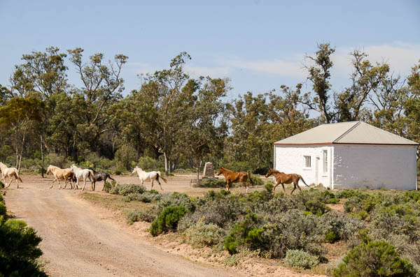 A street in Beltana